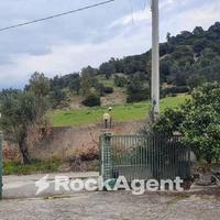 PROPRIETA' CON 2 APPARTAMENTI E GIARDINO DI 6000 M