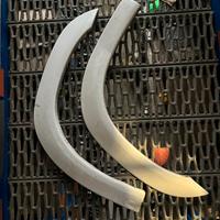 PARAFAMGHINI ANTERIORI 106 1.3 RALLYE