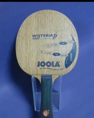 racchetta completa joola wisteria gomme palio