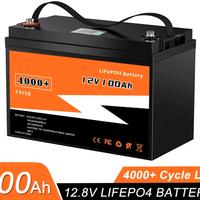 Batteria LFP LiFePO4 12v 24v 100Ah 200Ah con BMS