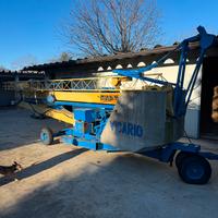 Gru vicario automontante