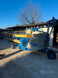 Gru vicario automontante