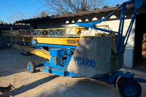 Gru vicario automontante