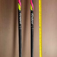 Bastoni da sci blizzars