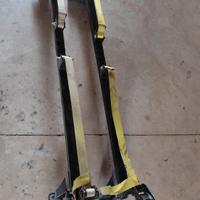 barre tetto con 2  portascale