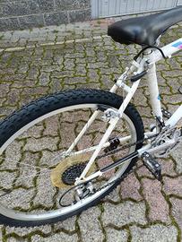 bici da ragazzo