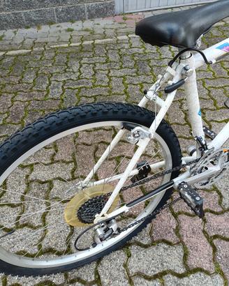 bici da ragazzo