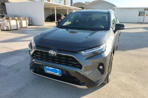 Toyota Rav4 2.5 Hybrid 4x2 Style