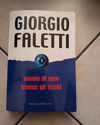 libro "Niente di vero tranne gli occhi"