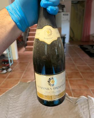 Vini da collezione