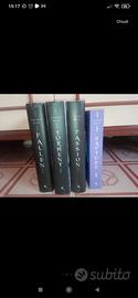 saga libri fallen