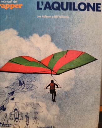 RACCOLTA LIBRI VINTAGE ROMA