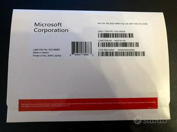 Microsoft Windows SERVER 2022 Standard DVD e Stick