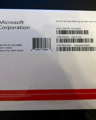 Microsoft Windows SERVER 2022 Standard DVD e Stick