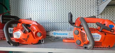 MOTOSEGA DA POTATURA