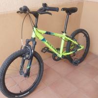 bici 20"
