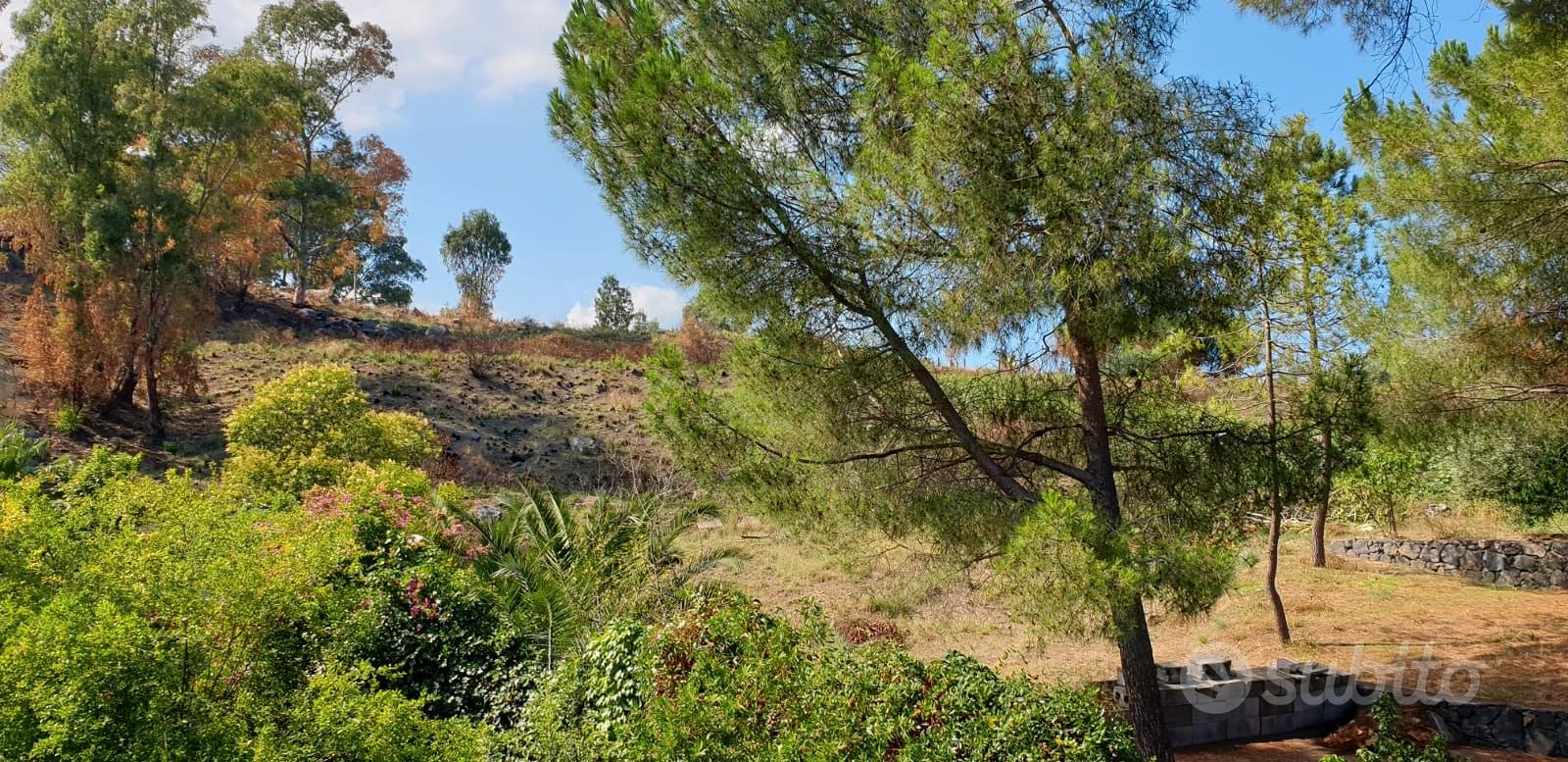 Appartamento – Aci Castello, Cannizzaro - Vista 5