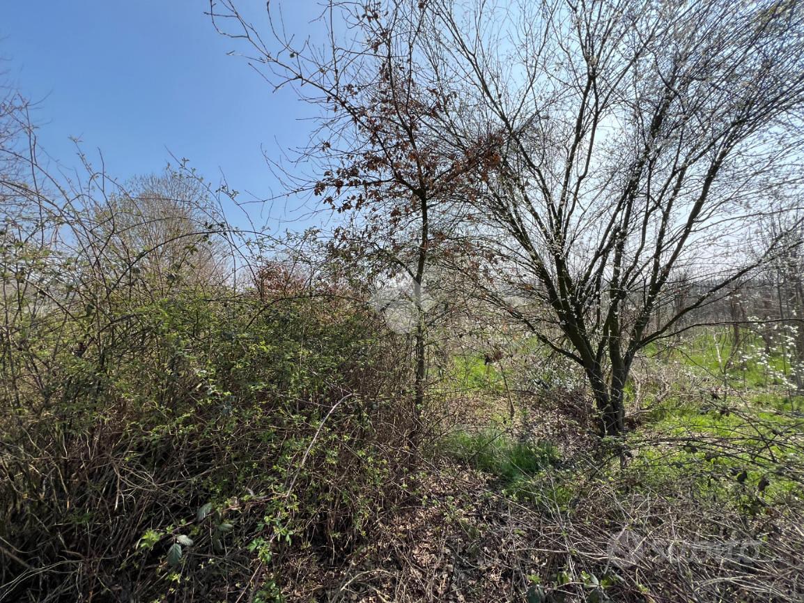 TER. AGRICOLO A ROPPOLO - Vista 4