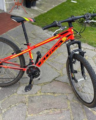 Bicicletta