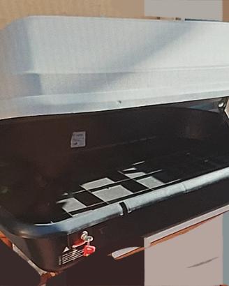 Box da Tetto Auto - Capienza Extra / Portata 50 kg