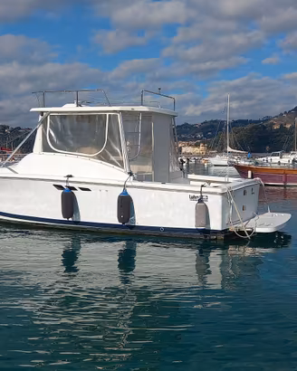 LUHRS 30 T-TOP NATANTE -VALUIAMO PERMUTA