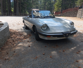Alfa spider duetto