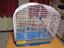Immagine 6