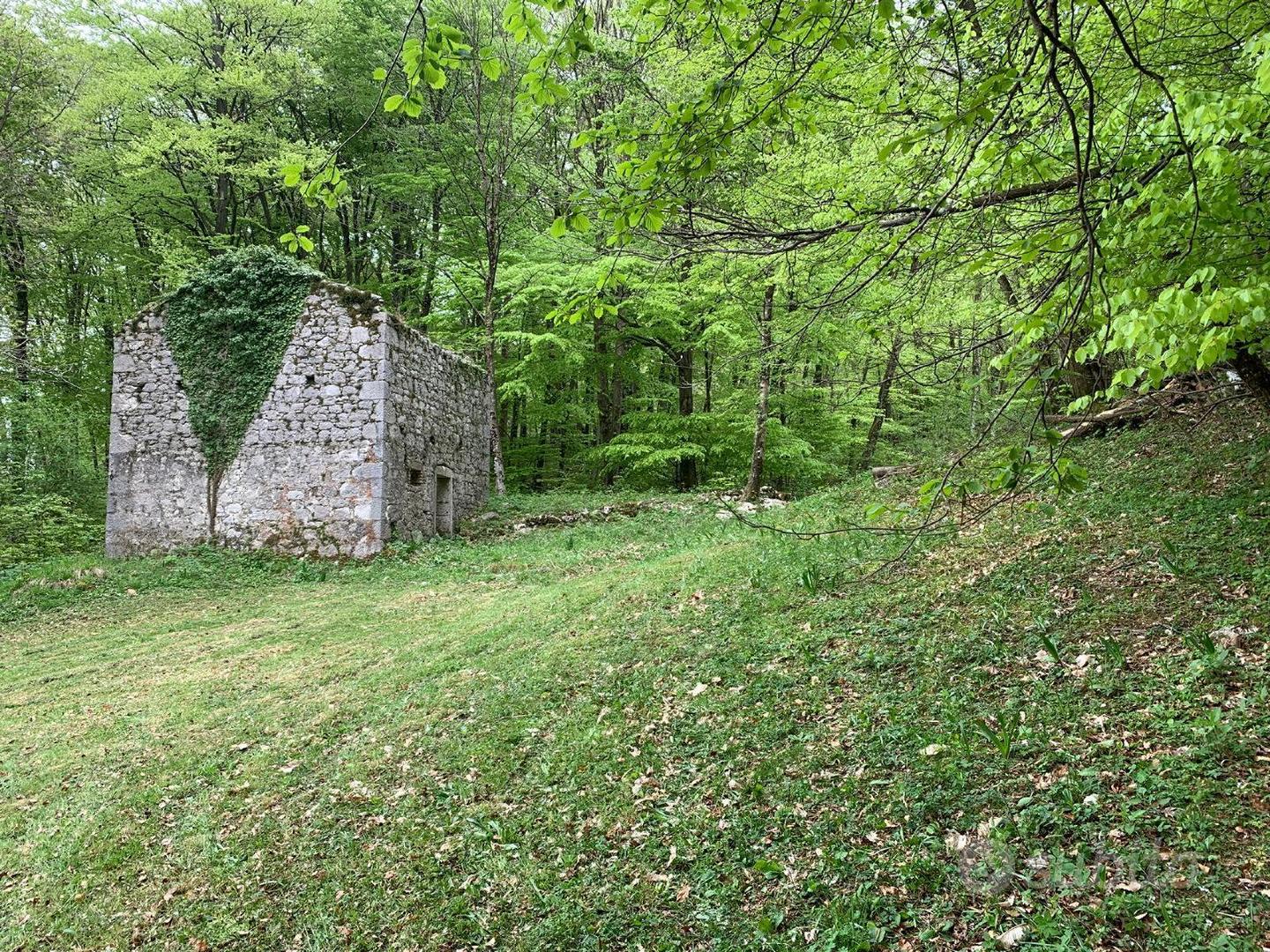 RUSTICO IN PIETRA - quiete e natura! - Vista 5
