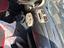 Immagine 12