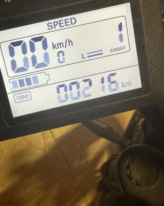 Bicicletta elettrica