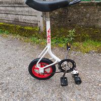 LeRun Skate-bike Unicycle Trick Bike, 