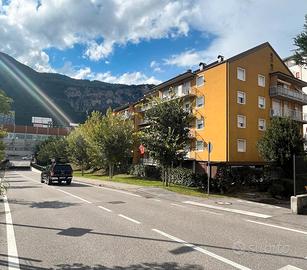 Trento zona albere nuda proprieta'