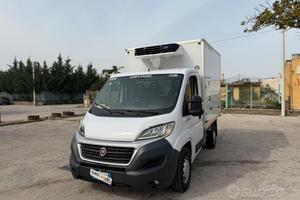 Fiat DUCATO 2.3 MJET 130 CV CASSA FRIGO 2.81 ATP F
