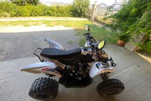Aeon cobra 330ss