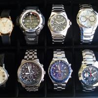 Citizen Sector Omega