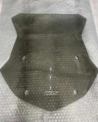 Cupolino wrs per r1250gs