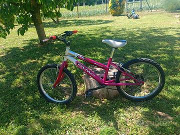 mountain bike bambina 