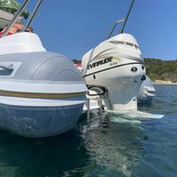Motore evinrude 115 cv