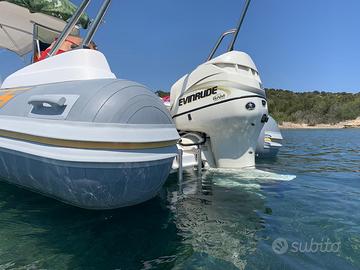 Motore evinrude 115 cv