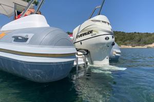Motore evinrude 115 cv