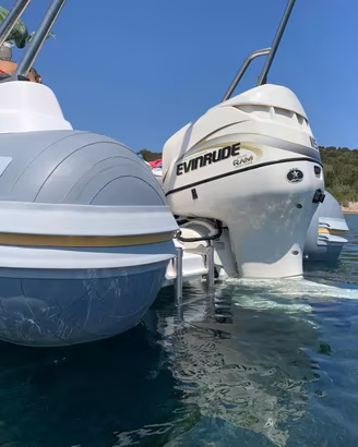 Motore evinrude 115 cv