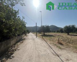 Terreno Edificabile - Bellona