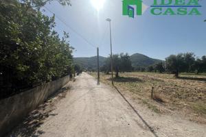 Terreno Edificabile - Bellona