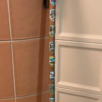 Piccozza bastone montagna legno placche stemmi