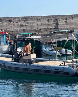 GOMMONE ZODIAC PRO 850 + HONDA BF350