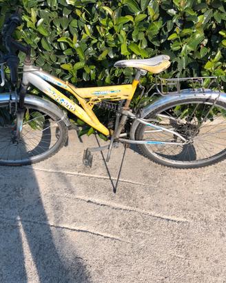 Bicicletta