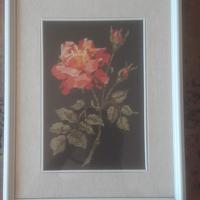 Set 2 quadri 1/2 punto