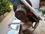 Immagine 2