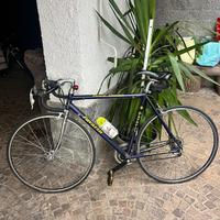 Bici da corsa Pavarin