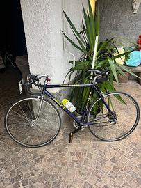 Bici da corsa Pavarin